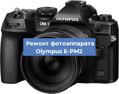 Замена шторок на фотоаппарате Olympus E-PM2 в Тюмени